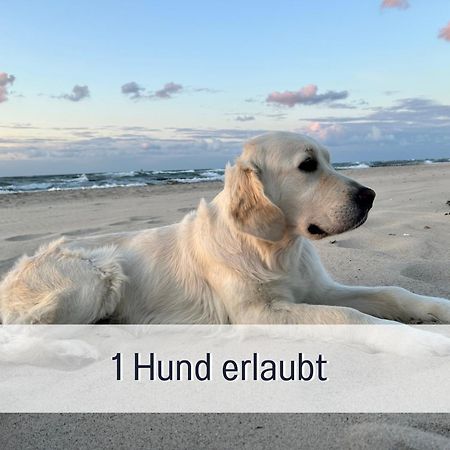 3 Zimmer App Duenengarten Fewo 58 Ostseebad Kühlungsborn Екстериор снимка