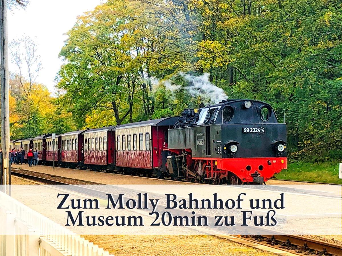 3 Zimmer App Duenengarten Fewo 58 Ostseebad Kühlungsborn Екстериор снимка